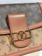Louis Vuitton DAUPHINE MM MONOGRAM 2021