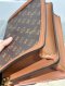 Louis Vuitton DAUPHINE MM MONOGRAM 2021