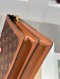 Louis Vuitton DAUPHINE MM MONOGRAM 2021