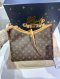 Louis Vuitton CARRYALL PM MONOGRAM MICROCHIP
