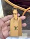 Louis Vuitton CARRYALL PM MONOGRAM MICROCHIP