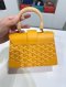 Goyard SAIGON STRUCTURE MINI BAG 2024