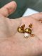 Dior D-MILLEFIORI PEARL EARRINGS GOLD