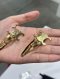 Celine HAIR CLIP LOGO GOLD 2022