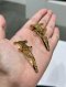 Celine HAIR CLIP LOGO GOLD 2022