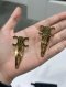 Celine HAIR CLIP LOGO GOLD 2022