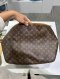 Louis Vuitton DELIGHTFUL MM MONOGRAM 2011