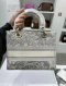 Dior LADY D-LITE MEDIUM GREY GHW 2021