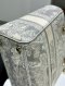 Dior LADY D-LITE MEDIUM GREY GHW 2021