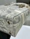 Dior LADY D-LITE MEDIUM GREY GHW 2021