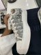 Dior SNEAKERS SIZE 41 ข้อสั้น