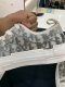 Dior SNEAKERS SIZE 41 ข้อสั้น