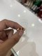 Dior CD PEARL EARRING GOLD