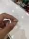 Dior CD PEARL EARRING GOLD