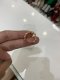 Dior CD PEARL EARRING GOLD