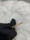 Cartier LOVE SMALL BRACELET SIZE 16 PINK GOLD 2022(PZS040)**