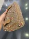 Gucci GUCCI X DISNEY BELT BAG