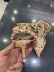 Valentino ROCKSTUD HIGH HEELS SIZE 36