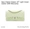 Chanel CLASSIC 10" LIGHT GREEN CAVIAR GHW MICROCHIP