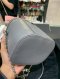 Chanel CC VANITY GREY BAG GHW HOLO27