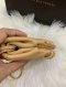 Bottega Veneta  Extra Mini Pouch Beige