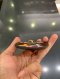 Louis Vuitton Monogram Vivienne Funfair X'mas Charm 2020