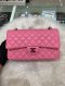 Chanel CLASSIC 10" PINK LAMB RAINBOW HARDWARE HOLO 31090280