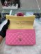 Chanel CLASSIC 10" PINK LAMB RAINBOW HARDWARE HOLO 31090280