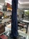 Louis Vuitton SCARF MONOGRAM BLUE 2022