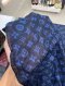 Louis Vuitton SCARF MONOGRAM BLUE 2022