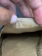 Chanel ESPADRILLES BLACK SIZE 38