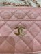 Chanel CAMERA PINK CAVIAR GHW HOLO 27949841