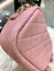 Chanel CAMERA PINK CAVIAR GHW HOLO 27949841