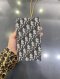 Dior VERTICAL SADDLE POUCH 2021