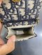 Dior VERTICAL SADDLE POUCH 2021