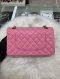 Chanel CLASSIC 10" PINK LAMB RAINBOW HARDWARE HOLO 31090280