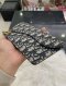 Dior SADDLE POUCH BLUE