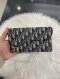 Dior SADDLE POUCH BLUE