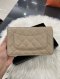 Chanel WOC BEIGE CAVIAR GHW MICROCHIP (T1G789HG)