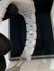 Chanel J12 WATCH 33MM WHITE 2024