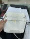 Chanel SHOULDER BAG WHITE MICROCHIP