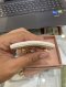 Miumiu HAIR CLIP WHITE