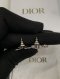 Dior BEE EARRINGS SILVER