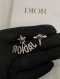 Dior BEE EARRINGS SILVER