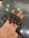 Chanel CLASSIC 10" BLACK CAVIAR SHW HOLO 22338424