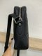 Louis Vuitton DANUBE CROSSBODY BAG 2017