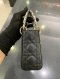 Dior LADY MINI BLACK GHW 2024