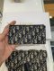 Dior SADDLE LONG WALLET 2022