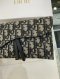 Dior SADDLE LONG WALLET 2022