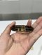 Louis Vuitton BRACELET MONOGRAM 2018**